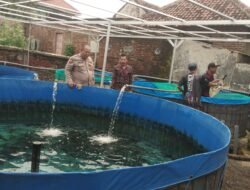 Babinkamtibmas Polsek Bangil Dampingi Warga Tambakan Kembangkan Budidaya Lele di Pekarangan
