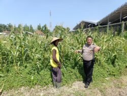 Petani Desa Lebo Apresiasi Dukungan Polisi Terhadap Upaya Ketahanan Pangan
