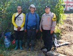 Ribuan Jagung Bertongkol, Polsek Sukun: Bukti Ketahanan Pangan Bisa Dimulai dari Gotong Royong