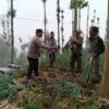 Bhabinkamtibmas Polsek Tosari Pantau Lahan Bawang Prei, Dukung Program Ketahanan Pangan Nasional