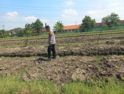 Bhabinkamtibmas Wonoayu Ajak Petani Optimalkan Lahan Jagung