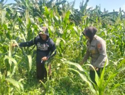 Polsek Gedangan Masifkan Pendampingan Program Swasembada Pangan