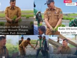 Bupati Kerinci Turun ke Sawah Bersama DTPH, Wujudkan Komitmen Menghidupkan Kembali Sektor Pertanian