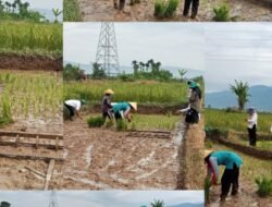 Sinergi Aktif Telusuri Potensi perkuatkan ketahanan pangan di desaLubuk suli