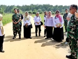 Serbelawan Dipastikan Jadi Pusat HUT RI ke-81 Tingkat Kabupaten, Pemkab Simalungun Mulai Matangkan Seluruh Persiapan