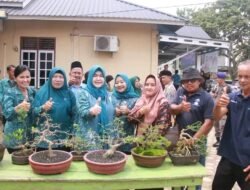 Dukung Kesehatan Mandiri, Hj. Fadhilah Sadat Tinjau Taman Obat Keluarga Pokja III Desa Purwodadi
