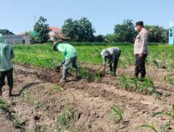 Polsek Prambon Masifkan Pendampingan Petani, Optimalkan Lahan Jagung Dukung Ketahanan Pangan