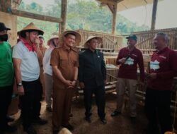 12 Tahun Lahan Tidur di Banjarnegara Akhirnya Dibangunkan, Revola Jateng Optimis Jadi Jalan Baru Ekonomi Warga