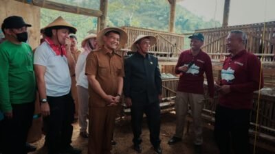12 Tahun Lahan Tidur di Banjarnegara Akhirnya Dibangunkan, Revola Jateng Optimis Jadi Jalan Baru Ekonomi Warga