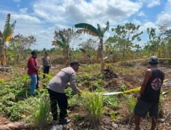 Warga Kolser Geger! Asyik Berkebun, Petani Temukan Diduga Bom Sisa Perang Dunia II