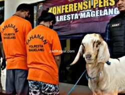 Pasutri Diduga Curi Kambing di 11 Lokasi, Polisi Ungkap Modus dan Pembagian Perannya