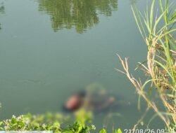 Mahasiswa Asal Jombang Tewas Tercebur Sungai Bersama Motor Vario di Desa Kedungbocok Tarik