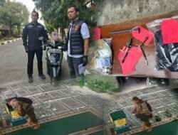 Polresta Magelang Berhasil Bekuk Residivis Spesialis Pencurian Kotak Amal