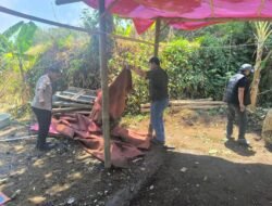 Polsek Karangploso Bongkar Lokasi yang Diduga Jadi Arena Sabung Ayam