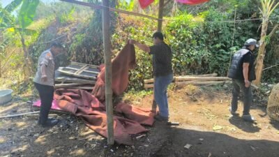 Polsek Karangploso Bongkar Lokasi yang Diduga Jadi Arena Sabung Ayam