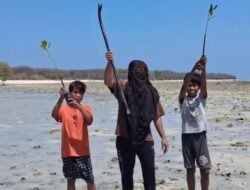 KKN Posko 40 Universitas Annuqayah Tanam Mangrove Bersama Siswa MI Al-Hidayah dan Anak Pesisir Gedugan