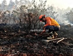 Kebakaran Lereng Merapi Magelang Meluas hingga 30 Hektare, Petugas Kembali Lakukan Pemadaman