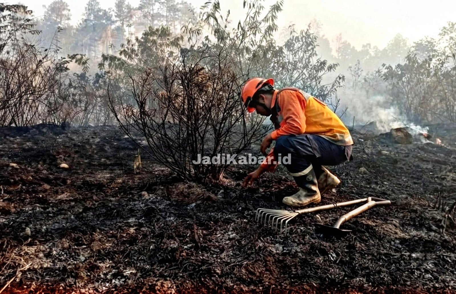Kebakaran Lereng Merapi Magelang Meluas hingga 30 Hektare, Petugas Kembali Lakukan Pemadaman