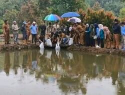 Wakil Walikota Hadiri Penyaluran Bantuan Benih Ikan di Sungai Penuh