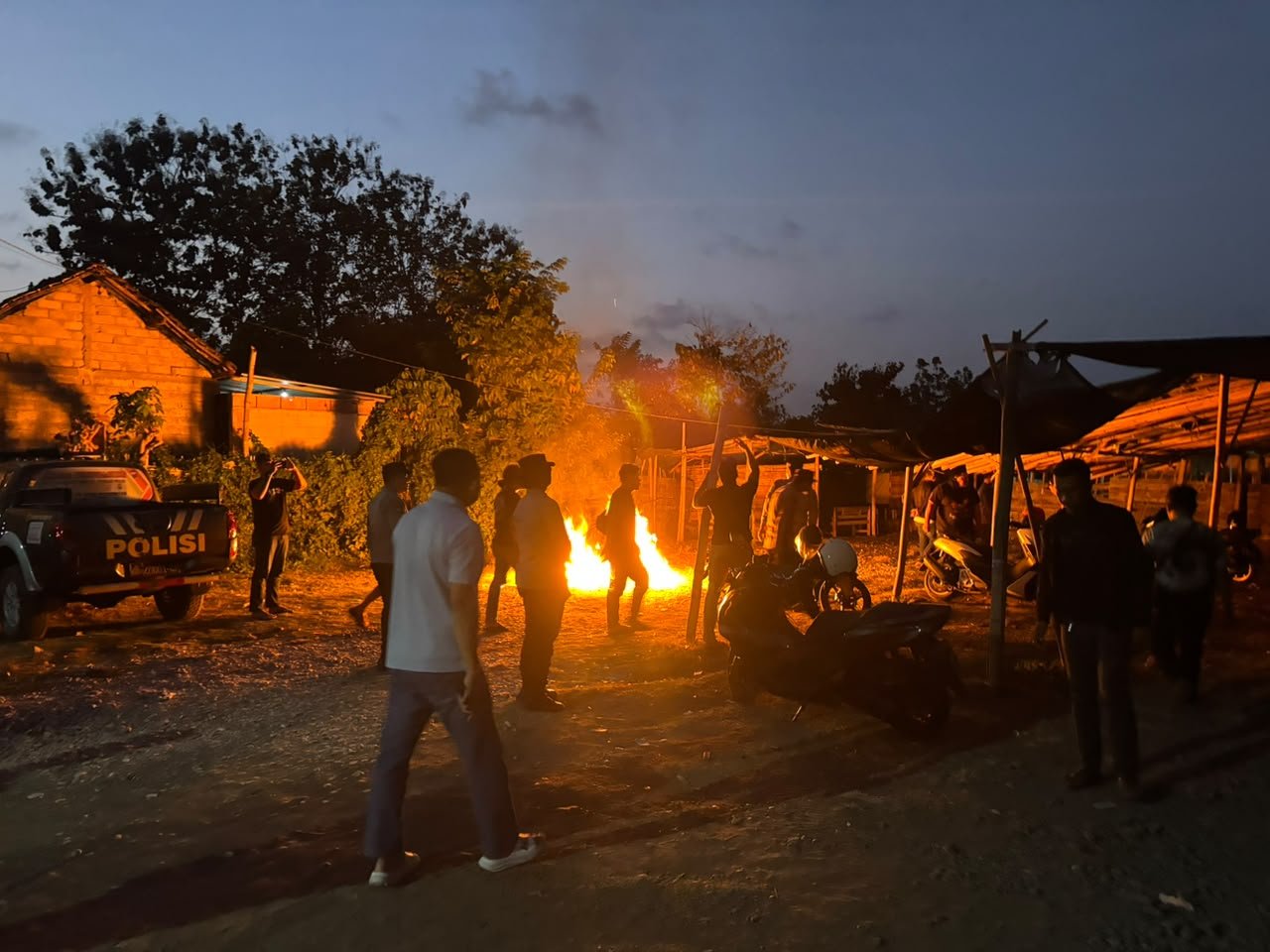 Viral Vidio Judi Sabung Ayam di Bono Boyolangu, Arena Dibongkar dan Dibakar Aparat Gabungan